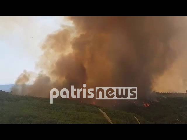Ηλεία: Οι φλόγες απειλούν τέσσερα χωριά