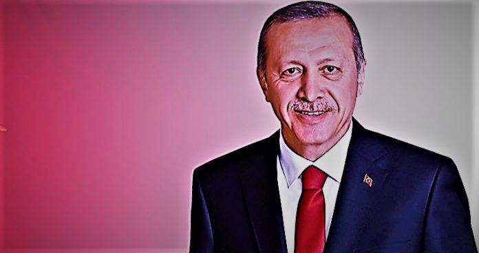 Quo Vadis Recep Tayyip Erdogan, Theodors Stathis