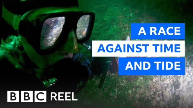 Ένας αστακός βοήθησε στην αποκάλυψη ενός αρχαίου υποβρύχιου πολιτισμού