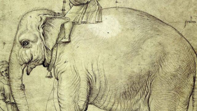 Ο ελέφαντας του Πάπα, ο μυρμηγκοφάγος του Νταλί και άλλα "διάσημα" κατοικίδια..., Γιάννης Παγουλάτος