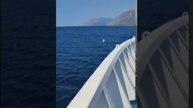 Διάσωση 3χρονου από φέρι μποτ στο Αντίρριο (video)