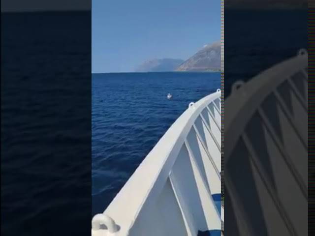Διάσωση 3χρονου από φέρι μποτ στο Αντίρριο (video)