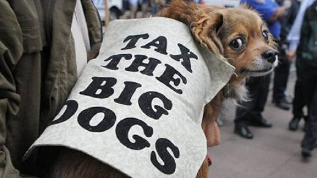 Σκυλόσημο: Ο "ΕΝΦΙΑ" των Γερμανών για ιδιοκτησία... σκύλου