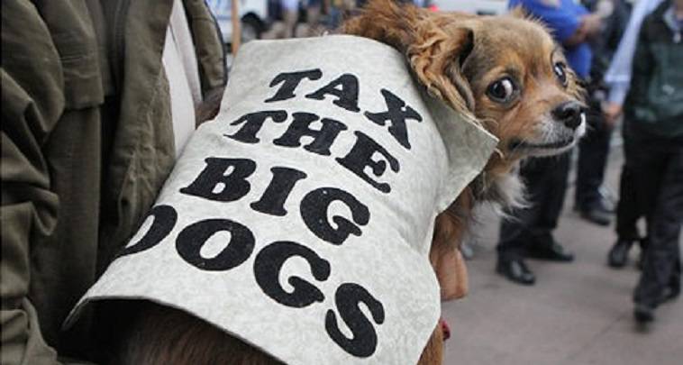 Σκυλόσημο: Ο "ΕΝΦΙΑ" των Γερμανών για ιδιοκτησία... σκύλου