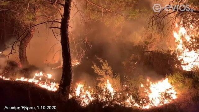 Στον Έβρο ο αρχηγός του ΠΣ για την πυρκαγιά στο δάσος της Δαδιάς