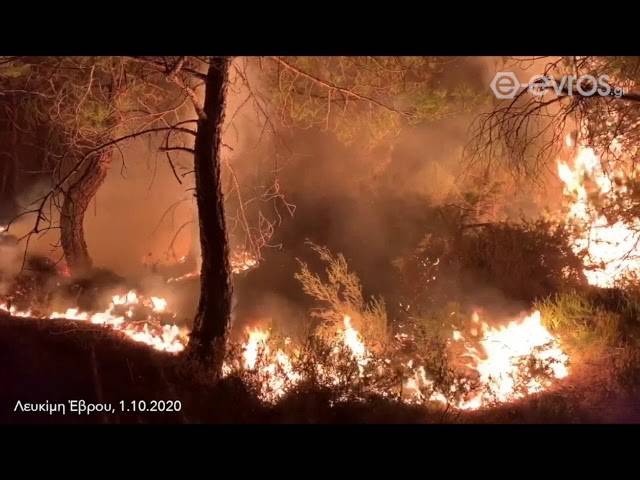 Στον Έβρο ο αρχηγός του ΠΣ για την πυρκαγιά στο δάσος της Δαδιάς