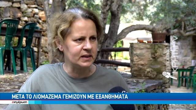 Παράξενη δερματίτιδα σε δεκάδες ελαιοπαραγωγούς στην Κρήτη