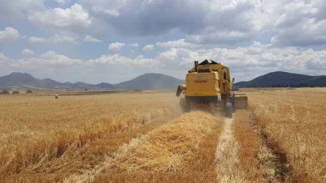 Στηρίζοντας τους παραγωγούς τον καιρό του Covid-19