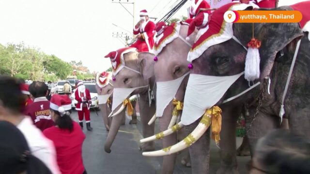 Ελέφαντες μοιράζουν μάσκες σε μαθητές της Ταϊλάνδης