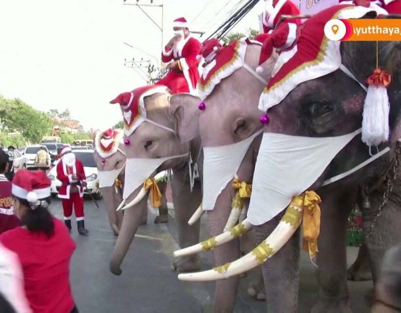 Ελέφαντες μοιράζουν μάσκες σε μαθητές της Ταϊλάνδης