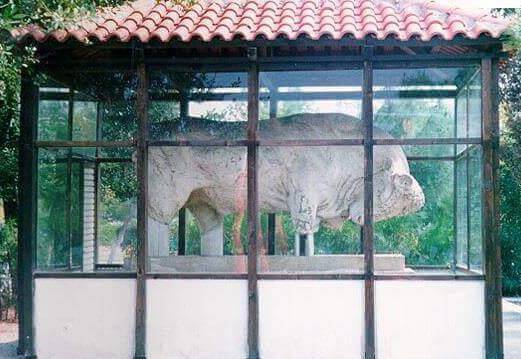 Περάκης ταύρος. Παυλόπουλος