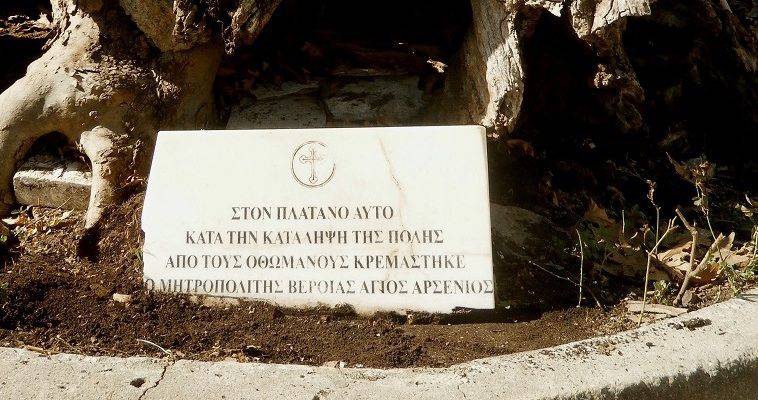 1821: Ως και τα δέντρα μαρτυρούν τον αγώνα για τη λευτεριά της Ελλάδος