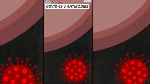 Ο άντρας με τα σούπερ αντισώματα Covid-19