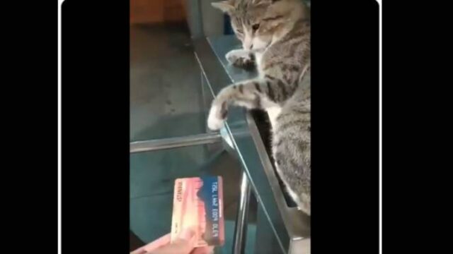 Βίντεο του Ιμάμογλου κάνει το γύρο του διαδικτύου