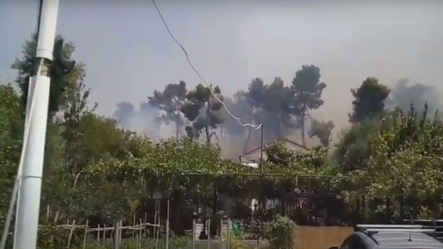 Γορτυνία: Αυτοκίνητο περνά μέσα από την φωτιά!