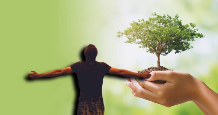 ΚΕΠΑ: Πρωτοβουλία "75- 75 Trees UNAI SDG7"
