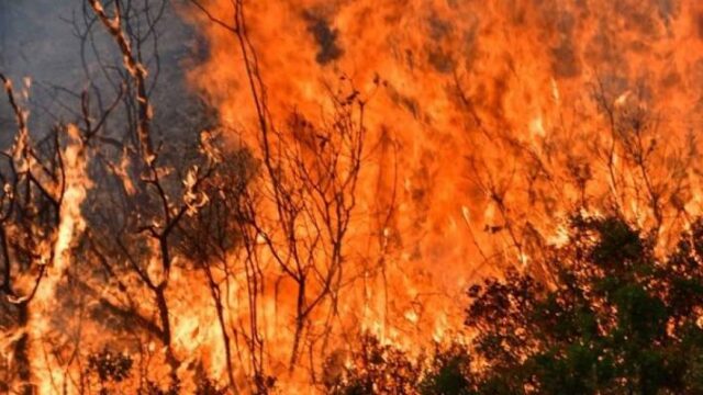 Συναγερμός από πυρκαγιά στο Σχηματάρι Εύβοιας (videos)