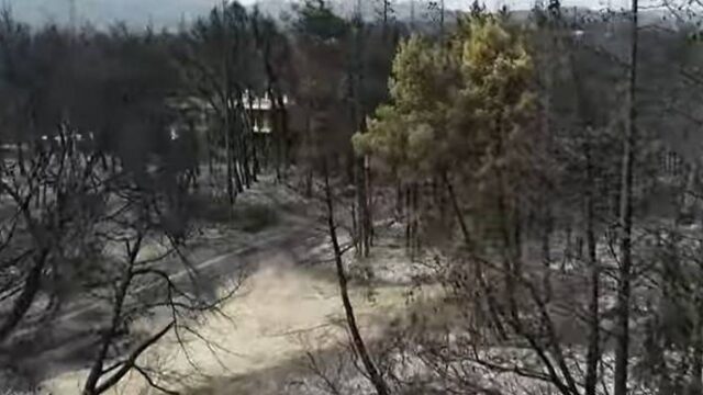 Βαρυμπόμπη: Η επόμενη μέρα της πύρινης καταστροφής (video)