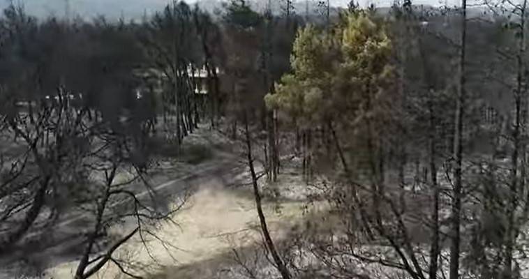 Βαρυμπόμπη: Η επόμενη μέρα της πύρινης καταστροφής (video)