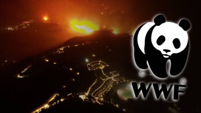 Τι ζητάει από τα κόμματα η WWF για τις πυρκαγιές