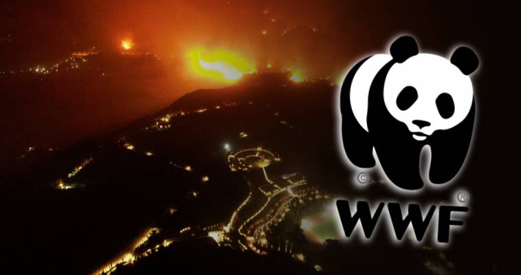 Τι ζητάει από τα κόμματα η WWF για τις πυρκαγιές