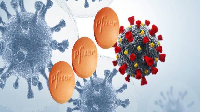 Πόσο προστατεύει το anticovid χάπι της Pfizer , Όλγα Μαύρου