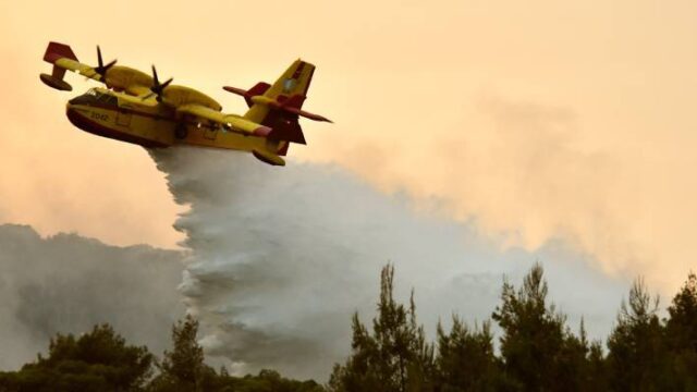 Υπό μερικό έλεγχο η φωτιά στην Εύβοια - Ολονύκτια μάχη με τις φλόγες (video),
