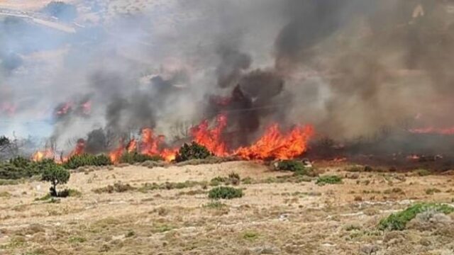 Δύο πυροσβεστικά αεροπλάνα στην Πάρο - Σε ύφεση φωτιά (video),