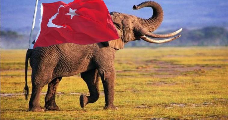Μπορεί με καλοπιάσματα ο τουρκικός ελέφαντας να βγει από το δωμάτιο; Σταύρος Λυγερός