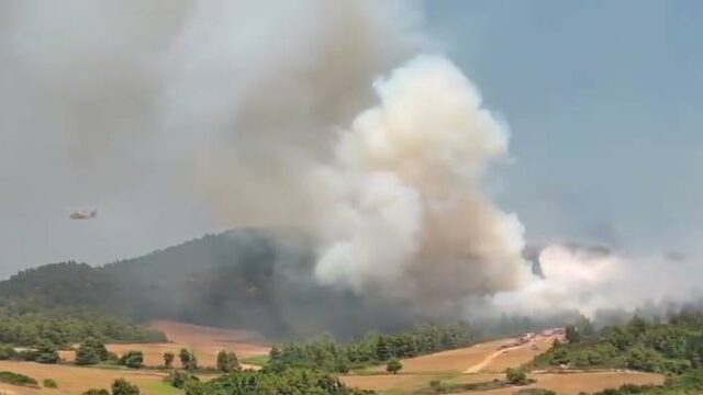 Υπό έλεγχο η φωτιά στο Άγιο Όρος - Σε ύφεση και οι άλλες φωτιές (video),