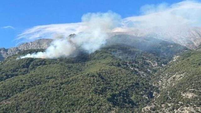 Φωτιές σε Σαμοθράκη και Αράχωβα (video)