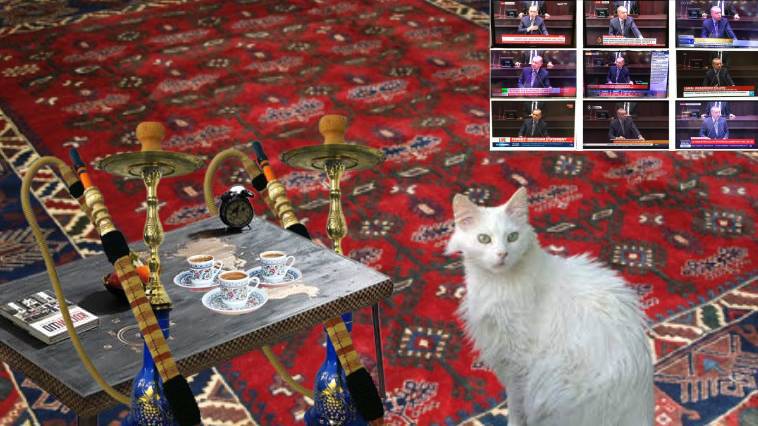 Η γάτα που εκθρόνισε τον Ερντογάν... Κρινιώ Καλογερίδου