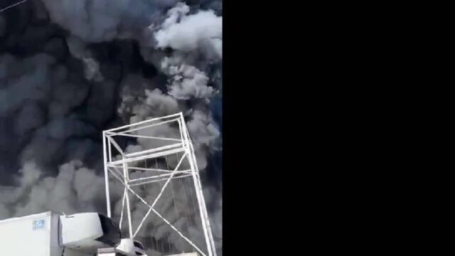 Στις φλόγες η μεγαλύτερη λαχαναγορά του κόσμου στο Παρίσι (video)