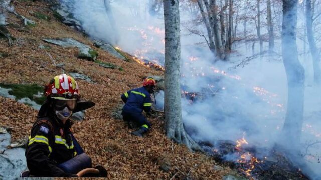 Μάχη με τις φλόγες στο Άγιο Όρος – Συναγερμός για τις πυρκαγιές