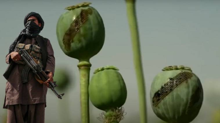 Αφγανιστάν: Έχει σχέση η καλλιέργεια οπίου με το μεταναστευτικό; Όλγα Μαύρου