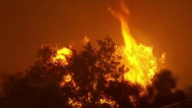 Πολύ υψηλός κίνδυνος πυρκαγιάς , σήμερα σε όλη την Κρήτη