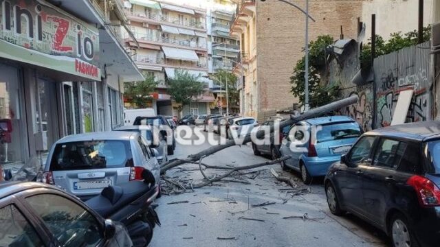 Θυελλώδεις άνεμοι προκάλεσαν πτώσεις δέντρων στη Θεσσαλονίκη
