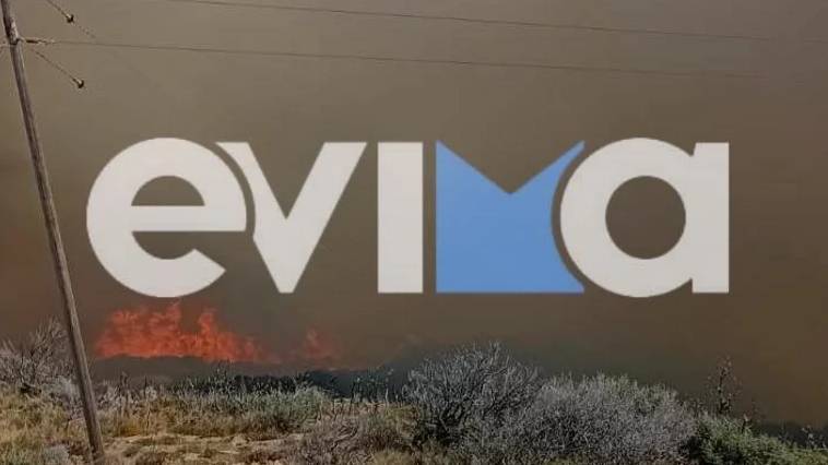 Φωτιά καίει στην Κάρυστο - Εκκενώθηκαν δύο χωριά