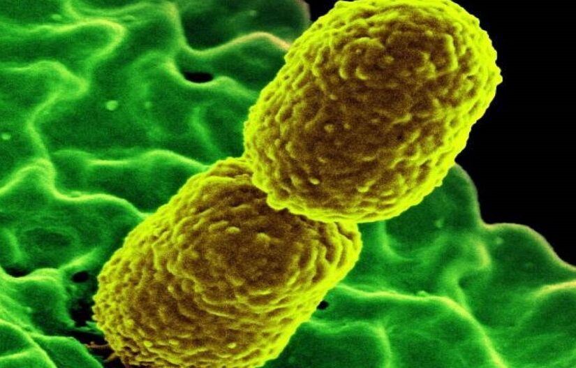 Σε τουλάχιστον 13 ελληνικά νοσοκομεία βρέθηκε πολύ ανθεκτικό μικρόβιο