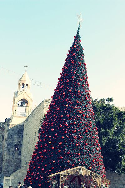Χωρίς χριστουγεννιάτικο δένδρο φέτος η Βηθλεέμ