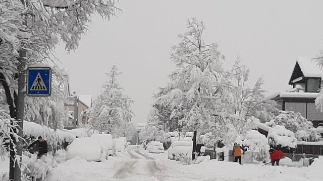 Σαρώνει η κακοκαιρία στη νότια Γερμανία - Ο χιονιάς έφερε προβλήματα σε πτήσεις και χάος στις μετακινήσεις