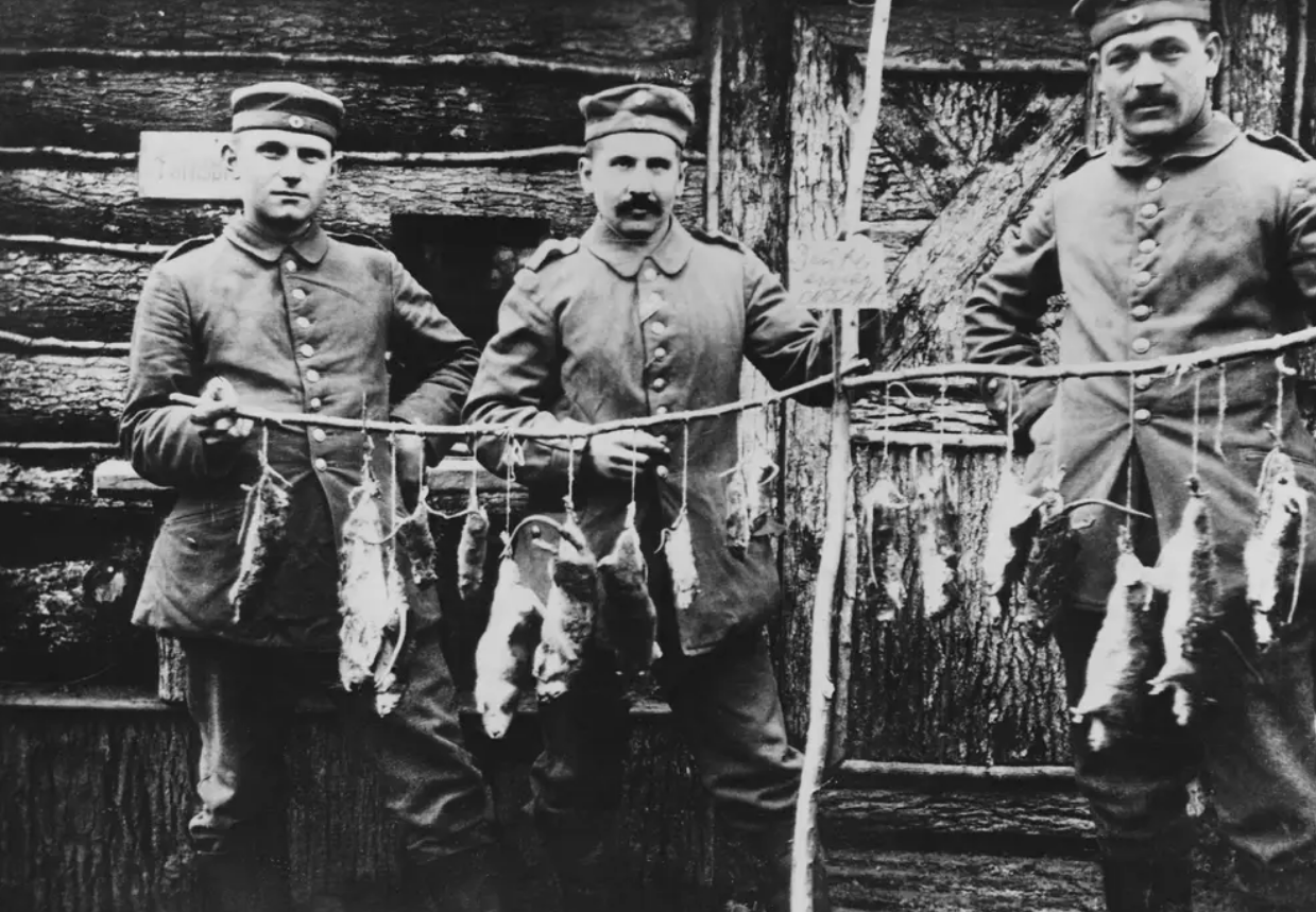 Γερμανοί στρατιώτες με τα τρόπαια τους μετά από μια νύχτα μάχης με τα τρωκτικά