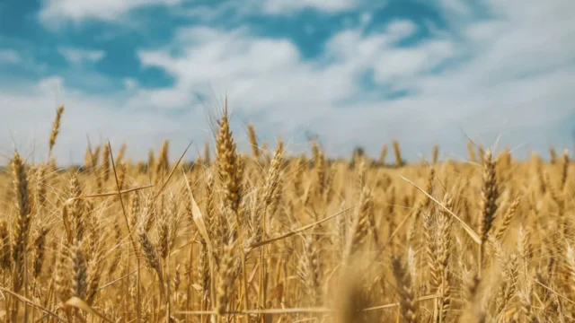 Μακρόν προς αγρότες που ανησυχούν με την ένταξη της Ουκρανίας στην ΕΕ: “Απέχουμε πολύ….”