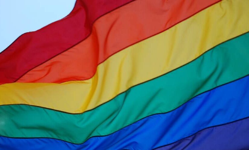 Δικαιώματα ομοφύλων, πολιτικοί σαλτιμπάγκοι και ιδεολογική βαρβαρότητα, Πέτρος Πιζάνιας