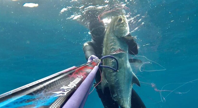Το παγκόσμιο ρεκόρ Έλληνα δύτη στο υποβρύχιο ψάρεμα – Η μάχη με την Λίτζα, Μελαχροινή Μαρτίδου