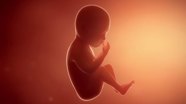 Τα δικαιώματα εμβρύου, βρέφους και παιδιού – Οι επερχόμενες προκλήσεις, Σταθακόπουλος