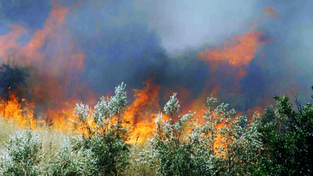 Ανεξέλεγκτη η φωτιά στο Αλποχώρι Ηλείας - Χωριά εκκενώνονται και στην Αχαΐα,