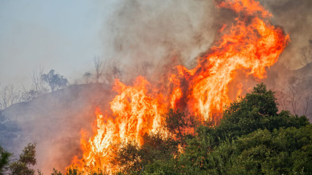 Φωτιά στην Κερατέα: Τουλάχιστον 52 απεγκλωβισμοί