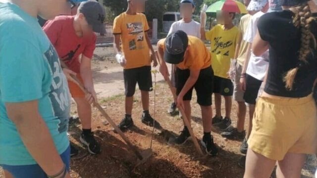 Ολοκλήρωση δεντροφύτευσης καρυδιών σε κοινόχρηστους χώρους στις Κοινότητες του Δήμου Λοκρών 