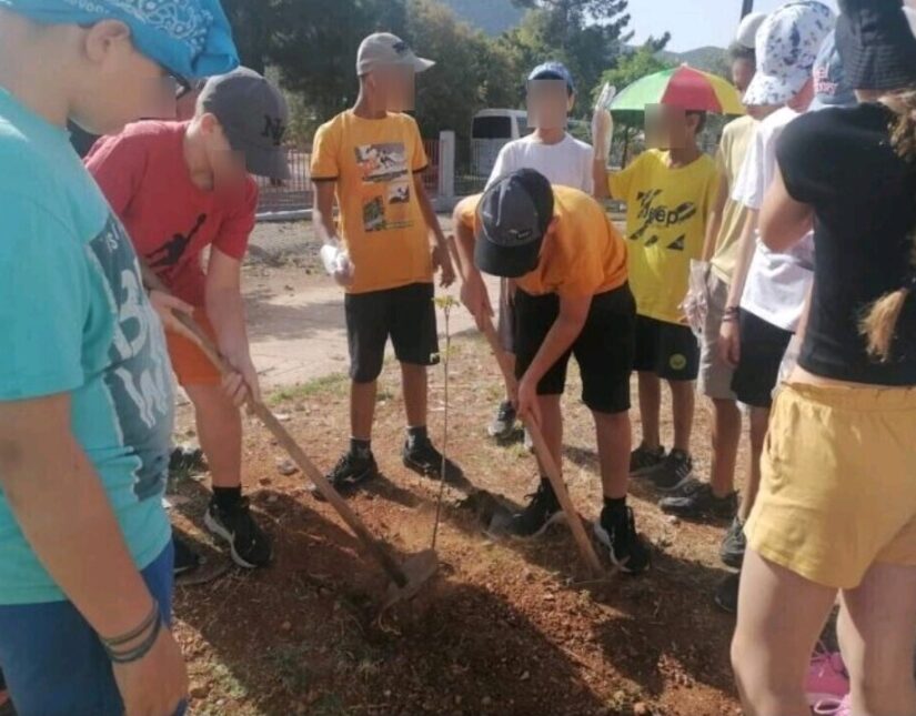 Ολοκλήρωση δεντροφύτευσης καρυδιών σε κοινόχρηστους χώρους στις Κοινότητες του Δήμου Λοκρών 